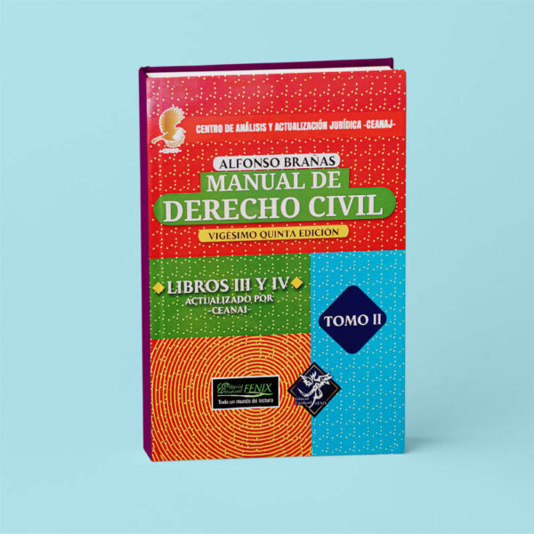 Manual de Derecho Civil. Libros I, II,  tomo I y  libros  III y IV,  tomo II. - Imagen 3